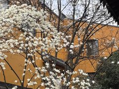 -龙华寺