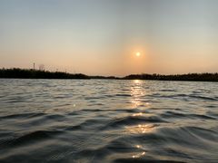 -春花秋色城市公园