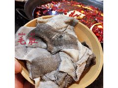 鲜毛肚-肥龙火锅(南坪店)