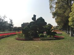 -上海鲜花港