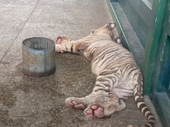 -秦皇岛野生动物园