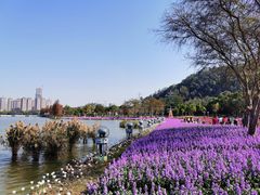-顺峰山公园
