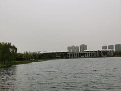 -武汉园博园(武汉自然博物馆)