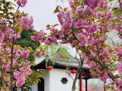 -陶然亭公园