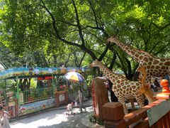 -晓港公园