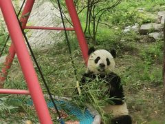 -天津市动物园