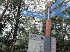 -梧桐山风景名胜区