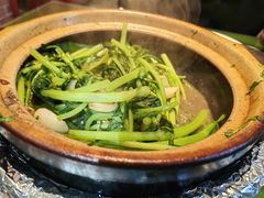 -煲煲好(朝阳门店)