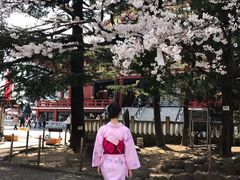 -东京浅草和服体验江户和装工房雅(浅草本店)