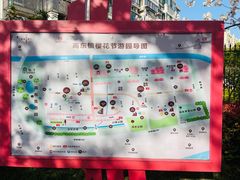 -高东镇樱花园