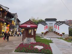 -孙奶奶葱包桧