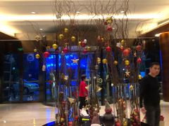 -深圳观澜格兰云天国际酒店