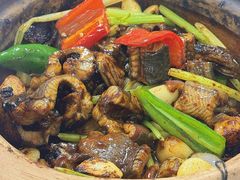 生啫金边花鳝-天宝食坊·啫啫煲大排档(西华路店)