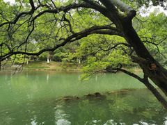-花溪公园