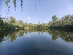 -溱湖国家湿地公园