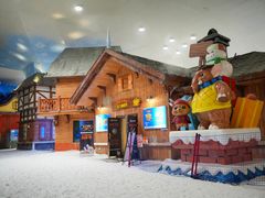 -湘江欢乐城欢乐雪域