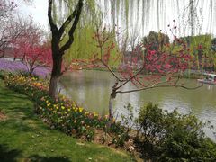 -圩墩遗址公园