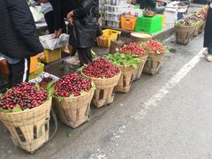 -水磨古镇