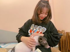 -浣熊柯尔鸭土拨鼠·电玩咖
