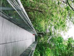 -佛山华盖山公园