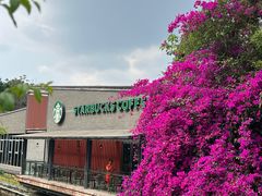 -星巴克(成都天府水街店)