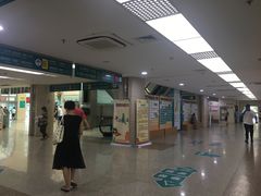 -上海市普陀区中心医院
