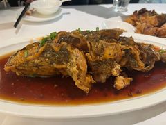 老济南糖醋鲤鱼-金春禧(世茂国际广场店)