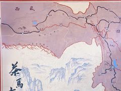 -马帮菜馆·美味野生菌