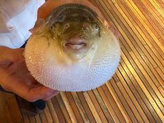 -永安鱼庄·镇江菜(丁卯店)