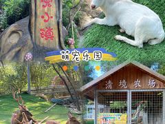 -清境桃源