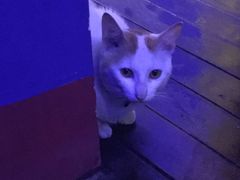 -星宿秘码(鼓浪屿老店)