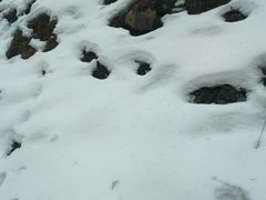 -硗碛藏寨·神木垒景区