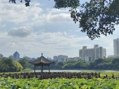-南宁南湖公园