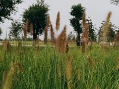 -汉长安城未央宫国家考古遗址公园