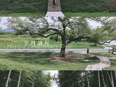 -良渚古城遗址公园