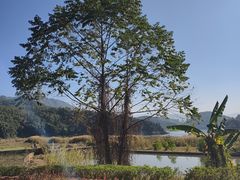 -孔雀湖生态旅游区