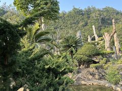 -深圳仙湖植物园