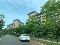 -舟山朱家尖威斯汀酒店·知味标帜自助餐厅
