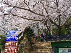 -海东龙宫寺