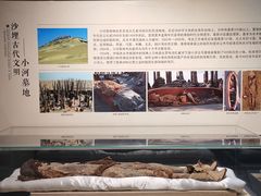 -巴音郭楞蒙古自治州博物馆