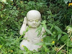 -高尔山公园