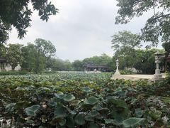 -惠州西湖丰渚园