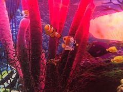 -梦幻海洋王国(吾悦广场张家港店)