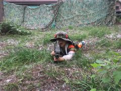 -黄海国家森林公园