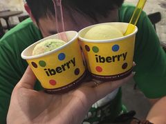 -莓园冰淇淋店