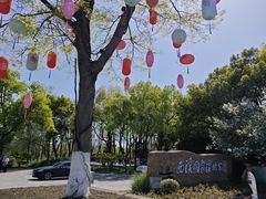 -西溪国家湿地公园