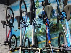 -GIANT捷安特自行车专卖店(金桥台儿庄路店)