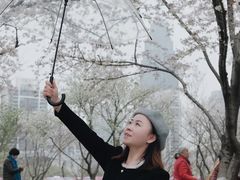 -西北湖绿化广场