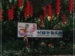 -广州长隆飞鸟乐园