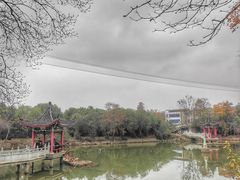 -青龙山国家森林公园